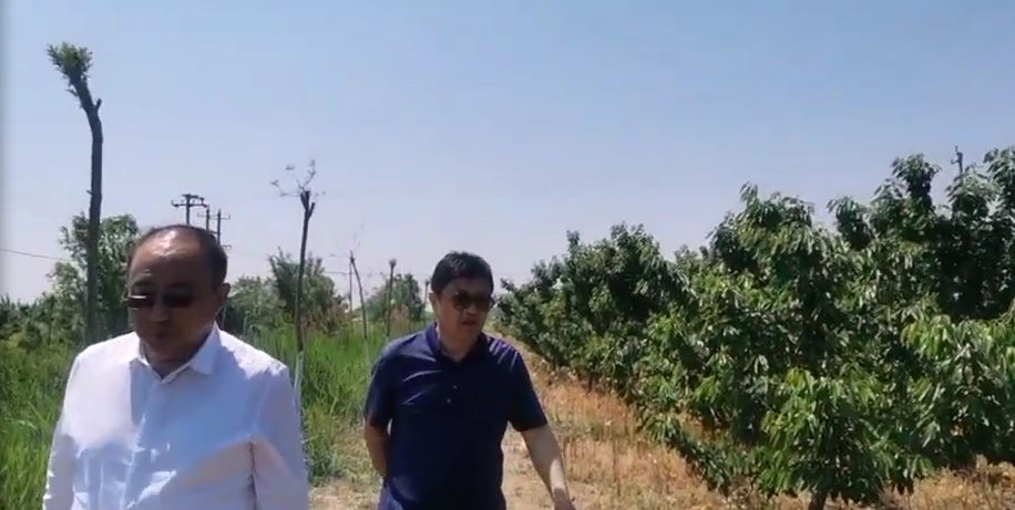 乐陵市人大常委、原乐陵市旅游局局长李新平莅临天津恒运能源集团旗下农业产业清洋湖考察