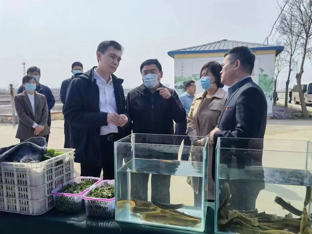 乐陵市委书记王晓勇一行莅临天津恒运能源集团旗下清洋湖公司参观考察