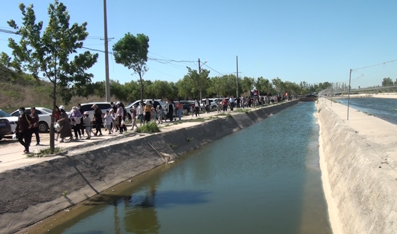 天津恒运能源集团旗下农业产业山东清洋湖农业科技有限公司一年一度樱桃采摘系列活动隆重开幕