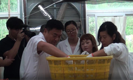 中央10套科技频道走进清洋湖科技有限公司