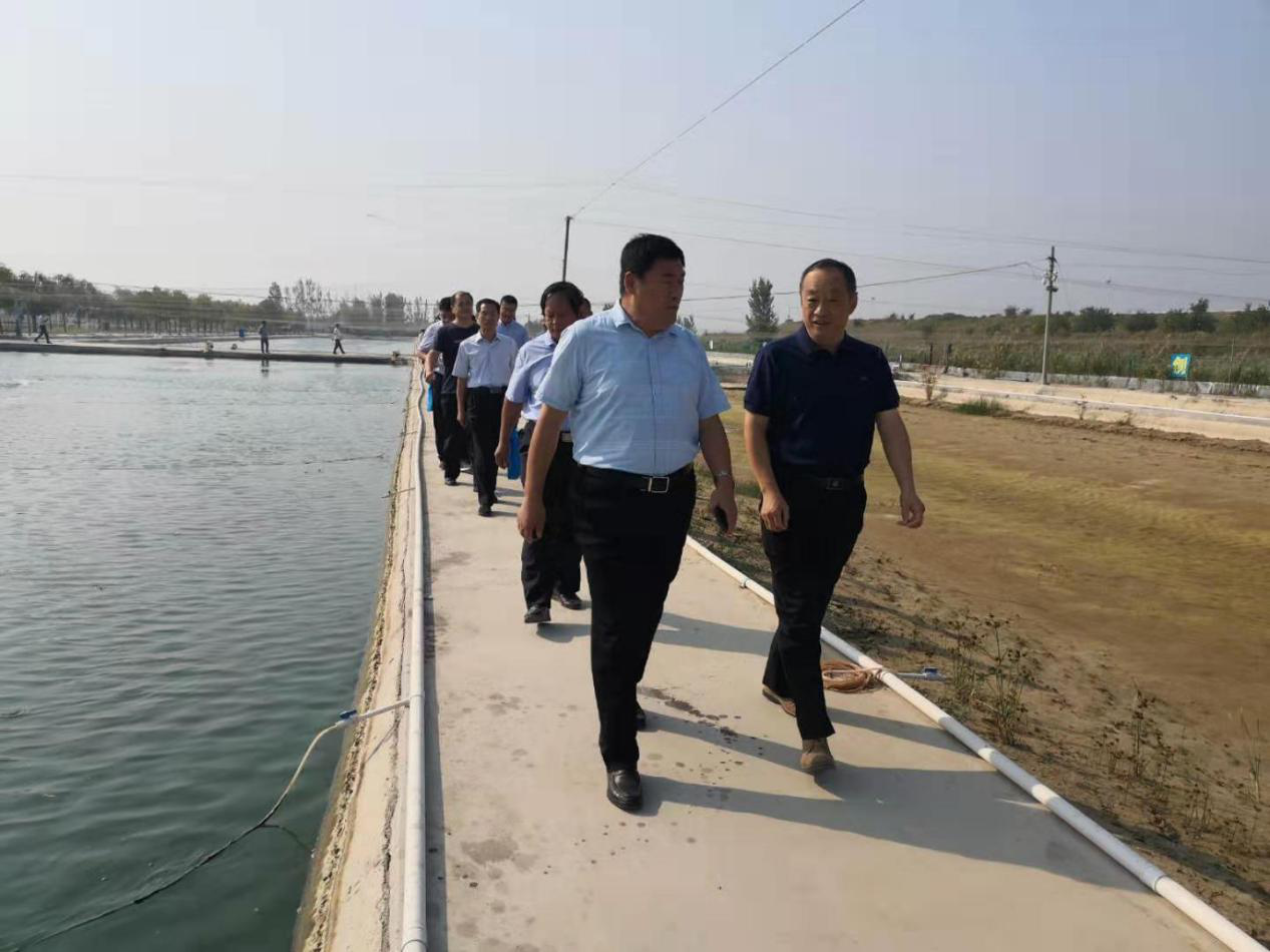 德州市弄农业农村事业发展中心领导一行莅临 恒运能源集团旗下农业产业清洋湖科技有限公司考察指导