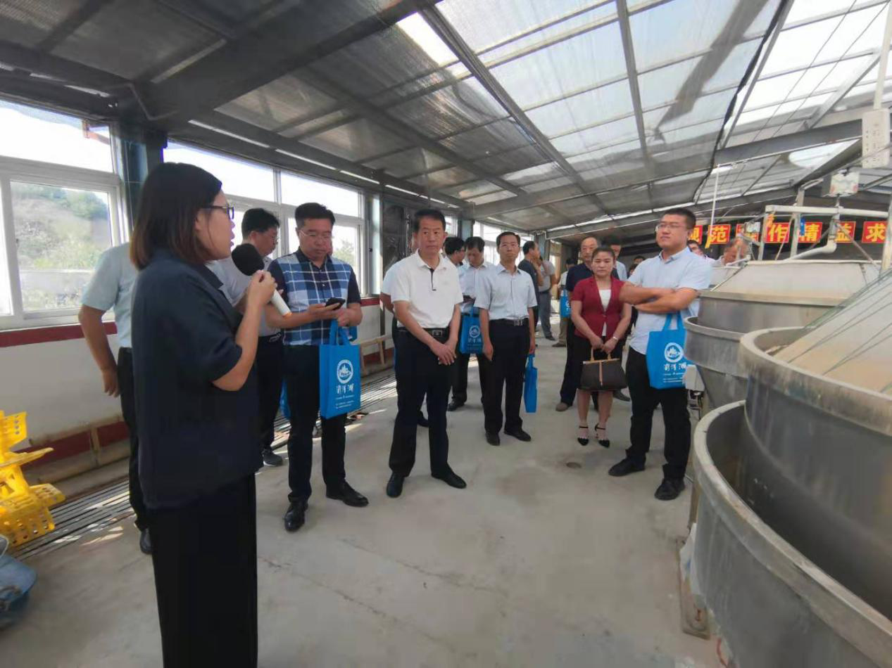 德州市弄农业农村事业发展中心领导一行莅临 恒运能源集团旗下农业产业清洋湖科技有限公司考察指导