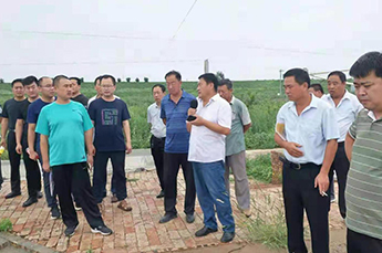 铁营镇各管区书记及部分村支部书记代表一行 走进恒运能源集团旗下农业产业清洋湖科技有限公司参观考察