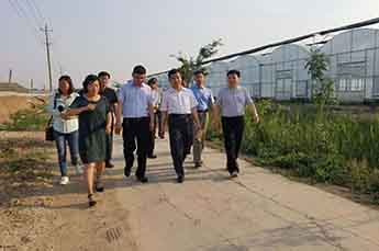 乐陵市省派第一书记一行莅临恒运能源集团旗下农业产业清洋湖指导工作