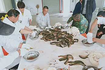 引入智能化 增强企业发展后劲 恒运能源集团旗下农业产业清洋湖现代化孵化设备投入使用 引入智能化 增强企业发展后劲