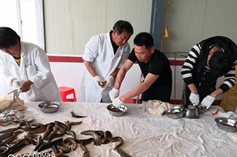 引入智能化 增强企业发展后劲 恒运能源集团旗下农业产业清洋湖现代化孵化设备投入使用 引入智能化 增强企业发展后劲