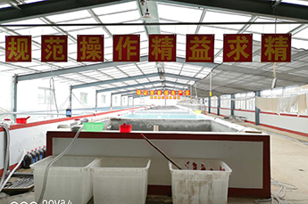 引入智能化 增强企业发展后劲 恒运能源集团旗下农业产业清洋湖现代化孵化设备投入使用 引入智能化 增强企业发展后劲