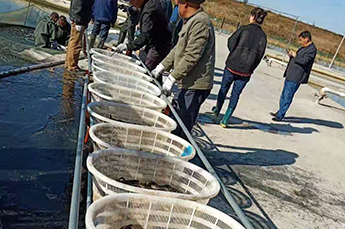 清洋湖：扩大生产规模 增加养殖面积 再添新助力