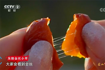 恒运能源集团旗下农业产业百枣纲目(集团)四大系列枣产品亮相央视《魅力中国城》