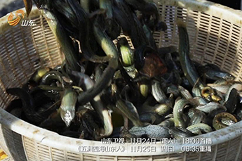 回家再创业——记恒运能源集团董事局主席李长云 接受山东卫视《五洲四海山东人》栏目专访