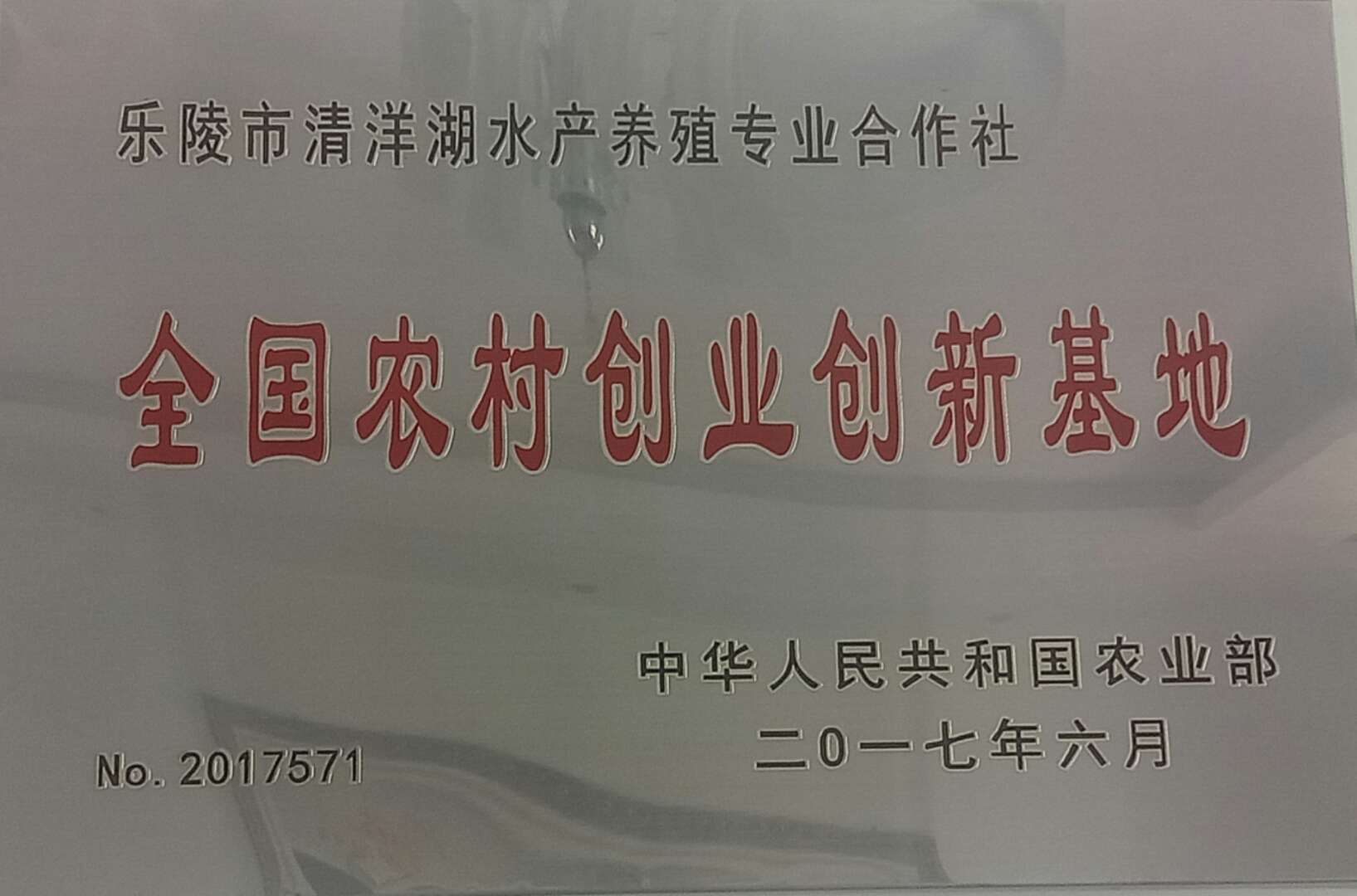 山东农科频道《乡村季风》栏目走进山东清洋湖科技有限公司