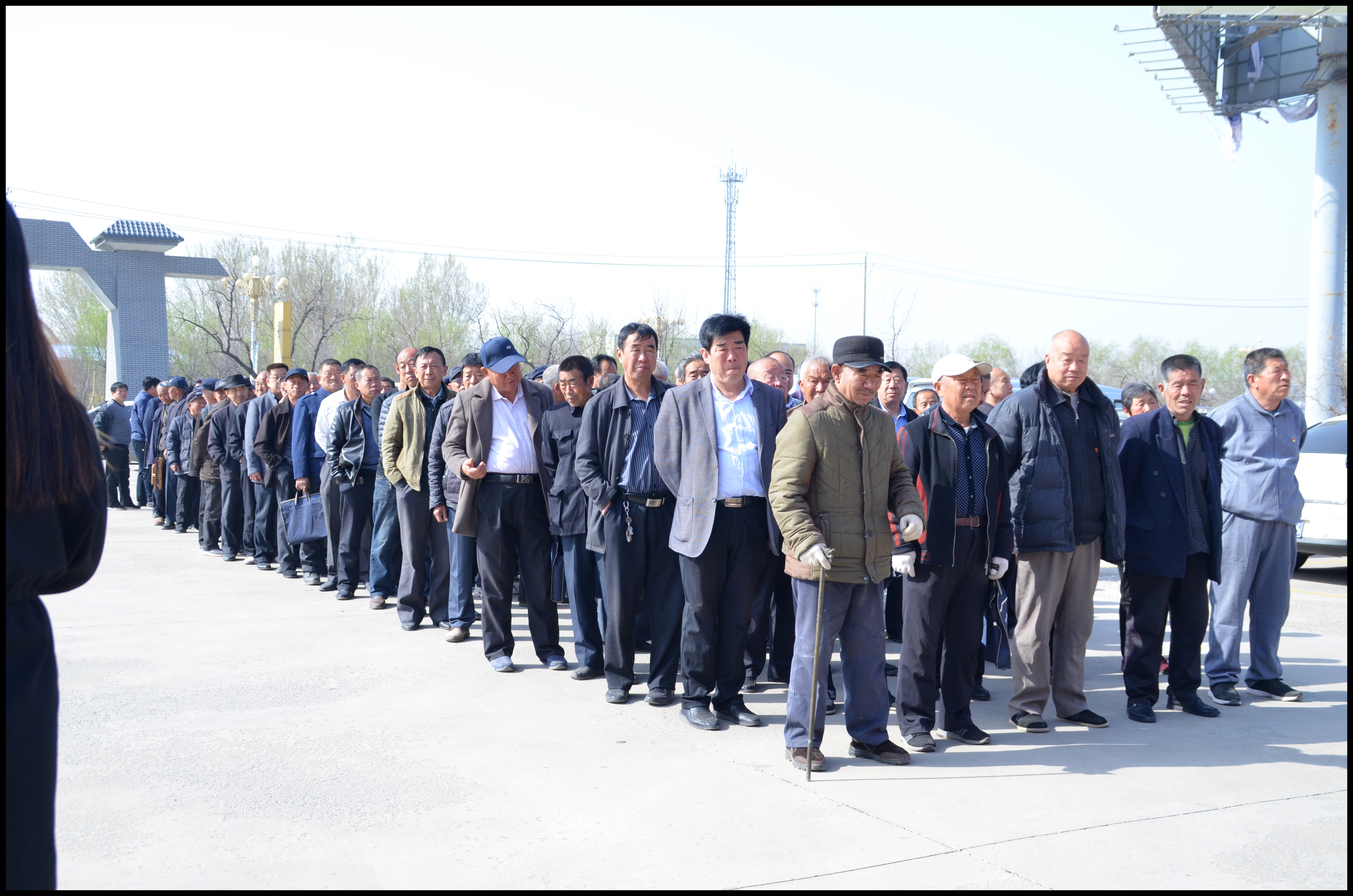 乐陵市云红街道300多名党员走进恒运集团旗下农业企业百枣纲目(集团)观摩