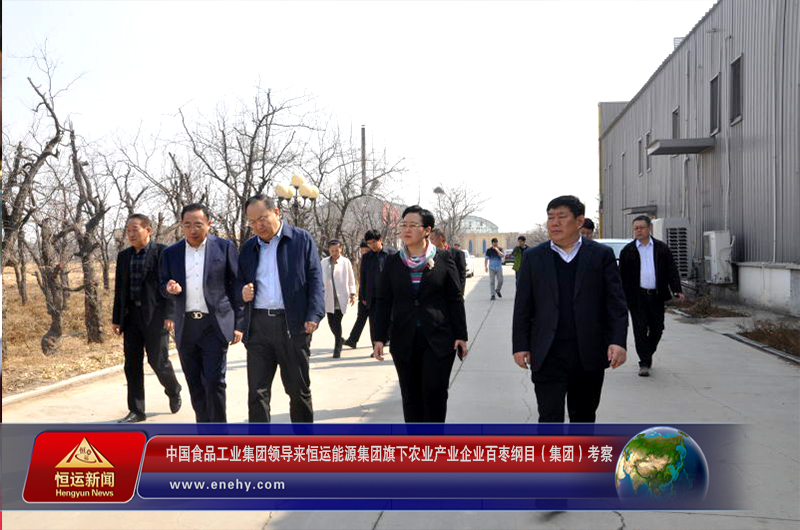 中国食品工业集团党委书记、总经理蔡永峰一行来 恒运能源集团旗下农业产业企业百枣纲目（集团）考察