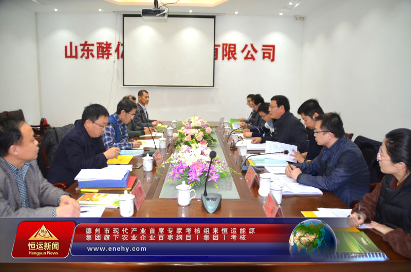 德州市现代产业首席专家考核组来恒运能源集团 旗下农业企业百枣纲目（集团）考核