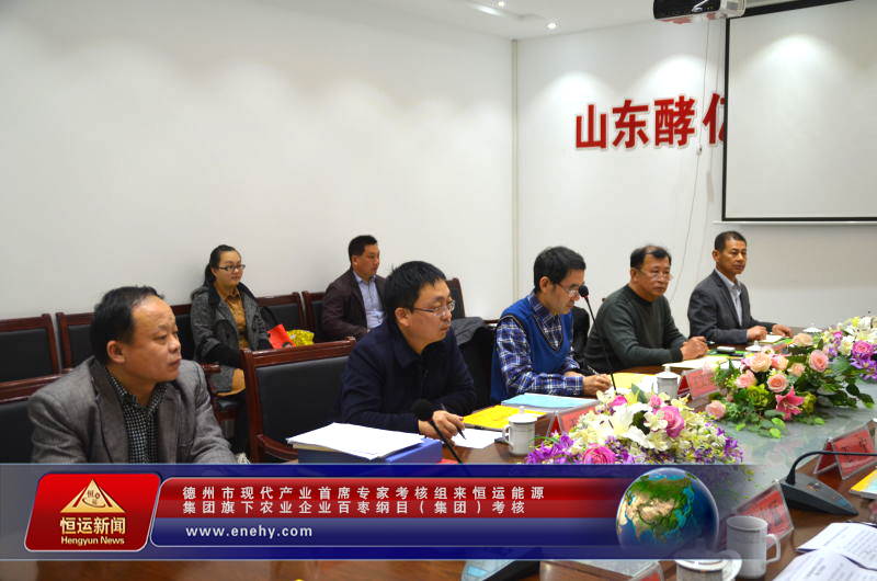 德州市现代产业首席专家考核组来恒运能源集团 旗下农业企业百枣纲目（集团）考核
