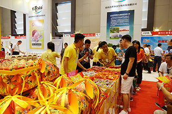 相约乐陵 枣赢未来 枣博会现场百枣纲目（集团）展位客商云集