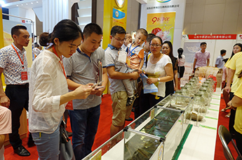 共享枣博盛会 携手再创佳绩 热烈庆祝2017中国（乐陵）金丝小枣文化节 暨第五届百枣纲目（集团）新品发布会圆满成功