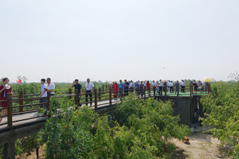 共享枣博盛会 携手再创佳绩 热烈庆祝2017中国（乐陵）金丝小枣文化节 暨第五届百枣纲目（集团）新品发布会圆满成功