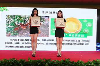 共享枣博盛会 携手再创佳绩 热烈庆祝2017中国（乐陵）金丝小枣文化节 暨第五届百枣纲目（集团）新品发布会圆满成功