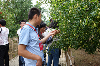 第29届中国（乐陵）金丝小枣文化节 暨第五届百枣纲目（集团）新品发布会第一场活动圆满结束 百枣纲目（集团）大型经销商、采购商主场
