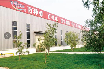 恒运能源集团旗下农业产业山东百枣纲目（集团）生物科技有限公司：诚信经营实现跨越发展