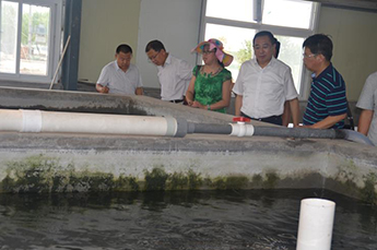 把握新常态 实现共发展 山东省烟台栖霞市领导一行莅临恒运能源集团旗下农业产业百枣纲目(集团)参观考察