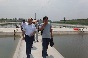 山东省淡水研究院疾病防控室秦玉广主任、生态病理研究室 杜兴华主仼莅临清洋湖指导工作