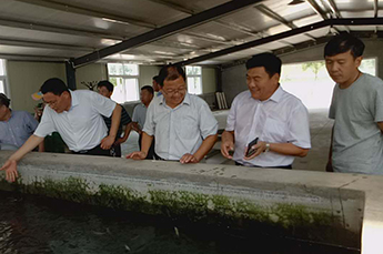 山东省淡水研究院疾病防控室秦玉广主任、生态病理研究室 杜兴华主仼莅临清洋湖指导工作