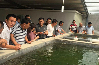 山东省海洋与渔业厅科技推广站站长黄树庆一行莅临清洋湖参观调研