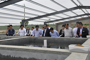 中国农业部渔业渔政管理局张显良一行到清洋湖考察调研