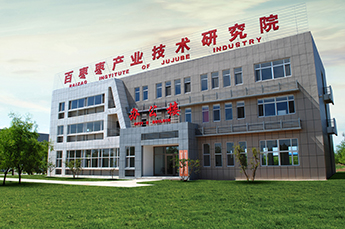 因地制宜 打造特色旅游产业链 中国当代清朝影视剧著名开山导演林鸿来百枣纲目(集团)参访