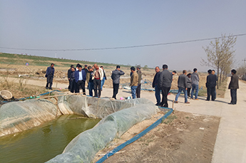 清洋湖台湾泥鳅养殖吸引众多养殖户考察学习