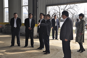 乐陵市委副书记苏兰武一行到恒运能源集团旗下农业企业百枣纲目(集团)调研