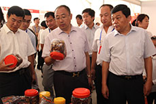 恒运能源集团董事局主席李长云陪同参会嘉宾参观枣博会